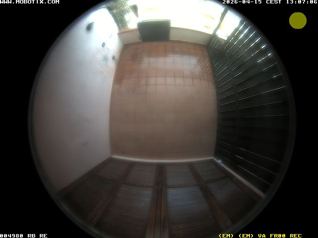 Camera Live Image